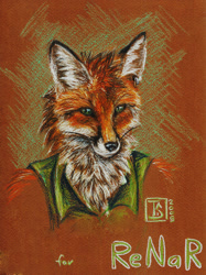 Size: 598x800 | Tagged: safe, artist:ts-cat, canine, fox, mammal, anthro, chest fluff, clothes, fluff, green eyes, looking at you, male, shirt, solo, solo male, topwear, traditional art