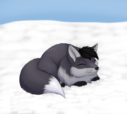 Size: 2000x1800 | Tagged: safe, artist:tomek1000, canine, fox, mammal, feral, eyes closed, snow, solo