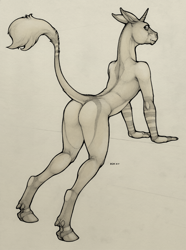 Size: 888x1194 | Tagged: suggestive, artist:ecmajor, oc, oc only, oc:equustra, equine, fictional species, mammal, unicorn, anthro, unguligrade anthro, 2015, black and white, butt, cloven hooves, dewclaw, ears, female, grayscale, hooves, horn, leaning forward, looking at you, looking back, looking back at you, monochrome, nudity, raised tail, rear view, signature, simple background, solo, solo female, standing, tail, tail tuft, traditional art, white background