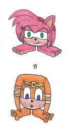 Size: 711x1338 | Tagged: safe, artist:spaton37, amy rose (sonic), tikal the echidna (sonic), echidna, fictional species, goomba (mario), hedgehog, mammal, monotreme, monster, mario (series), sega, sonic the hedgehog (series), 2016, barefoot, crossover, duo, duo female, ears, female, females only, goombafied, toes, traditional art, wiggling toes