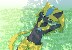 Size: 1714x1200 | Tagged: safe, artist:sum, fictional species, legendary pokémon, mythical pokémon, zeraora, anthro, nintendo, pokémon, 2021, armpits, arms behind head, belly button, black nose, blushing, digital art, ears, fur, grass, looking at you, lying on the ground, male, solo, solo male, tail, thighs