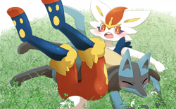 Size: 1920x1200 | Tagged: safe, artist:sum, cinderace, fictional species, lucario, mammal, anthro, nintendo, pokémon, 2021, 8:5, blushing, buckteeth, butt, digital art, duo, ears, eyes closed, female, fur, grass, male, male/female, oof, open mouth, paw pads, paws, starter pokémon, tail, teeth, tongue