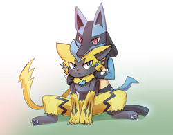 Size: 1280x1000 | Tagged: safe, artist:sum, fictional species, legendary pokémon, lucario, mammal, mythical pokémon, zeraora, anthro, nintendo, pokémon, 2019, claws, digital art, duo, duo male, ears, fur, hair, looking at each other, male, males only, paw pads, paws, simple background, sitting