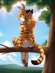 Size: 1350x1800 | Tagged: safe, artist:twokinds, flora (twokinds), feline, fictional species, keidran, mammal, anthro, digitigrade anthro, twokinds, 2021, breasts, brown body, brown fur, butt, digital art, female, fur, hair, long hair, nudity, orange body, orange fur, outdoors, paw pads, paws, plant, rear view, sitting, sky, smiling, solo, solo female, striped fur, tree, tree branch, underpaw, white body, white fur, yellow eyes