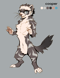 Size: 2550x3300 | Tagged: safe, artist:falvie, oc, oc only, oc:cooper (dookerino), ferret, mammal, mustelid, anthro, belly button, black body, black fur, blue eyes, character name, cheek fluff, chest fluff, color palette, fluff, front view, fur, glasses, gray background, gray body, gray fur, high res, looking at you, nonbinary, reference sheet, simple background, solo, standing, tail, three-quarter view, whiskers, white body, white fur