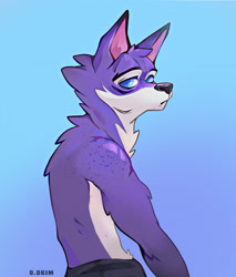 Size: 2480x2911 | Tagged: safe, artist:ddrim, oc, oc only, canine, mammal, wolf, anthro, cc by-nc, creative commons, 2020, arm fluff, back fluff, black outline, blue background, blue eyes, bottomwear, clothes, digital art, drawing, ears, fluff, freckles, frowning, fur, gradient background, head fluff, high res, illustration, looking at you, looking back, male, neck fluff, pants, partial nudity, purple body, purple fur, shoulder freckles, side view, signature, simple background, solo, solo male, topless, white body, white fur