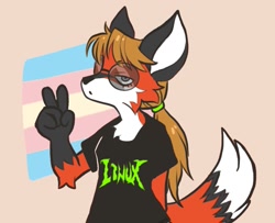 Size: 1317x1067 | Tagged: safe, artist:usbfig, xenia (linux fox), canine, fox, mammal, anthro, black outline, brown hair, bust, cheek fluff, clothes, female, flag, fluff, fur, gesture, glasses, gray background, gray eyes, hair, lidded eyes, linux, looking at you, mascot, mtf transgender, neck fluff, orange body, orange fur, peace sign, ponytail, pride flag, round glasses, shirt, simple background, solo, solo female, straight hair, t-shirt, tail, topwear, transgender, transgender pride flag, white body, white fur
