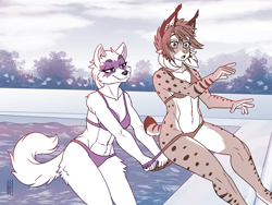 Size: 1440x1080 | Tagged: safe, artist:heresyart, alopex (tmnt), arctic fox, canine, feline, fox, lynx, mammal, anthro, teenage mutant ninja turtles, 2021, arm fluff, bikini, black nose, breasts, clothes, duo, duo female, ear fluff, eyebrows, eyelashes, female, females only, fluff, fur, hair, multicolored fur, open mouth, shoulder fluff, spots, spotted fur, swimming pool, swimsuit, tail, tail fluff, thighs, tongue, vixen