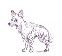 Size: 1274x1151 | Tagged: safe, artist:imgonnaloveyou, hyena, mammal, feral, animal genitalia, male, monochrome, nudity, paws, sheath, sheathed, simple background, sketch, solo, solo male, standing, tail, white background