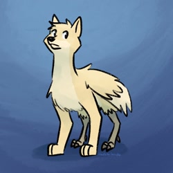 Size: 2048x2048 | Tagged: safe, artist:amiraallis, bird, canine, dog, emu, hybrid, mammal, shiba inu, feral, ambiguous gender, bird feet, chest fluff, claws, cream body, cream fur, feathers, featured image, fluff, fur, gradient background, head fluff, high res, paws, signature, solo, solo ambiguous, standing, talons, wings
