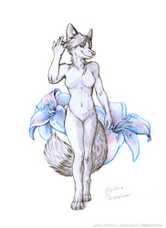 Size: 874x1200 | Tagged: suggestive, artist:eosfoxx, canine, fox, mammal, anthro, breasts, featureless breasts, featureless crotch, female, nudity, solo, solo female, traditional art