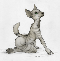 Size: 888x905 | Tagged: suggestive, artist:ecmajor, hyena, mammal, striped hyena, anthro, 2015, breasts, butt, ear piercing, ears, female, fur, green eyes, jewelry, kneeling, looking at you, paw pads, paws, piercing, pinup, signature, simple background, smirk, solo, solo female, striped fur, tail, tail jewelry, tail ring, traditional art, white background
