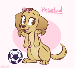 Size: 590x530 | Tagged: safe, artist:higglytownhero, canine, dog, golden retriever, mammal, feral, disney, 2d, air buddies, ball, bow, cute, female, front view, hair bow, looking at you, open mouth, open smile, puppy, rosebud (air buddies), smiling, smiling at you, soccer ball, solo, solo female, three-quarter view, young