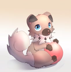 Size: 2500x2536 | Tagged: safe, artist:xripy, fictional species, mammal, rockruff, feral, nintendo, pokémon, 2021, ambiguous gender, ball, blep, digital art, ears, fluff, fur, high res, looking at you, neck fluff, paw pads, paws, pink nose, simple background, solo, solo ambiguous, tail, tongue, tongue out