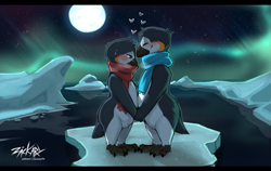 Size: 1741x1102 | Tagged: safe, artist:zackary911, bird, penguin, semi-anthro, 2021, ambiguous gender, aurora borealis, beak, bird feet, blushing, clothes, duo, duo ambiguous, feathers, featureless crotch, fluff, full moon, gray feathers, heart, iceberg, moon, night, ocean, pubic fluff, scarf, shipping, side view, signature, smiling, standing, stars, sweat, tail, water, white feathers, yellow feathers