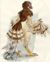 Size: 1153x1443 | Tagged: safe, artist:thekuto, oc, oc:der, oc:lief woodcock, bird, eurasian sparrowhawk, feline, fictional species, gryphon, hawk, mammal, sparrowhawk, anthro, accipiter, accipitrid, accipitriform, beak, bird feet, body markings, brown body, brown feathers, brown markings, cheek markings, duo, facial markings, feathered wings, feathers, fluff, head marking, looking back, male, micro, mythological avian, mythology, tail, tail feathers, tail tuft, tan body, tan feathers, true hawk, winged arms, wings, yellow eyes