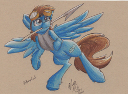 Size: 2319x1705 | Tagged: safe, artist:victorydance, oc, oc only, oc:seaward skies, equine, fictional species, mammal, pegasus, pony, feral, hasbro, my little pony, 2016, armor, bell, blue body, blue eyes, bondage, bound legs, bow, brown hair, brown mane, collar, eyewear, eyewear on head, feathered wings, feathers, gift, goggles, goggles on head, hair, harpoon, high res, hooves, jingle bells, male, mane, melee weapon, polearm, quadruped, solo, solo male, spear, traditional art, weapon, wings