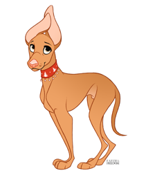 Size: 1045x1241 | Tagged: safe, artist:faithandfreedom, canine, dog, mammal, feral, 2d, cute, male, pharoah hound, simple background, smiling, solo, solo male, white background