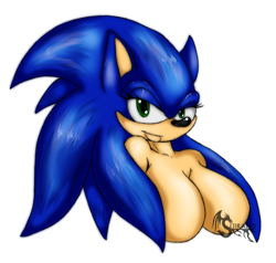 Size: 1280x1219 | Tagged: suggestive, artist:suirano, sonic the hedgehog (sonic), hedgehog, mammal, anthro, sega, sonic the hedgehog (series), 2014, bedroom eyes, big breasts, black nose, breasts, digital art, eyelashes, featureless breasts, female, hair, looking at you, rule 63, simple background, solo, solo female, sonique