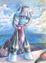 Size: 727x999 | Tagged: safe, artist:maytee, photo finish (mlp), earth pony, equine, fictional species, mammal, pony, feral, friendship is magic, hasbro, my little pony, 2012, blue body, clothes, eyelashes, female, mare, scarf, solo, solo female, traditional art