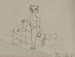 Size: 3479x2660 | Tagged: safe, artist:zanner, oc, oc:bryce daeless, oc:bryce daeless (otter), mammal, mustelid, otter, anthro, bipedal, black nose, clothes, high res, male, paws, rock, sitting, solo, solo male, underwear, water