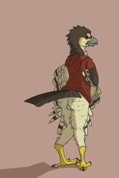 Size: 853x1280 | Tagged: safe, artist:doesnotexist, oc, oc:lief woodcock, bird, eurasian sparrowhawk, hawk, sparrowhawk, anthro, digitigrade anthro, 2019, 4 toes, accipiter, accipitrid, accipitriform, anisodactyl, backsack, balls, bottomless, brown body, brown feathers, butt, clothes, digital art, feathered wings, feathers, feet, hoodie, looking back, male, nudity, orange eyes, partial nudity, raised tail, red clothes, red hoodie, red topwear, short sleeves, solo, solo male, standing, tail, tail feathers, tan body, tan feathers, toes, topwear, true hawk, wings