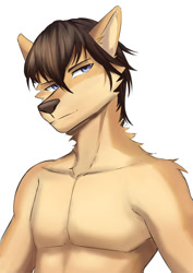 Size: 696x984 | Tagged: safe, artist:kironzen, oc, oc only, canine, dog, mammal, anthro, 2021, bedroom eyes, black nose, bust, digital art, ears, fur, hair, looking at you, male, pecs, portrait, simple background, solo, solo male