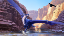 Size: 1920x1080 | Tagged: safe, artist:fellfallow, bird, corvid, dragon, fictional species, reptile, scaled dragon, songbird, western dragon, feral, 16:9, 2022, ambiguous gender, black feathers, blue body, canyon, detailed background, digital art, digital painting, feathered wings, feathers, flying, front view, group, horns, open mouth, outdoors, river, scales, scenery, scenery porn, solo focus, splashing, spread wings, tail, wallpaper, water, webbed wings, white body, wings