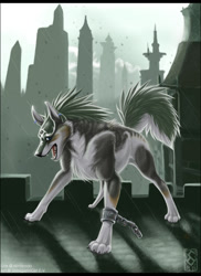 Size: 638x878 | Tagged: safe, artist:shinigamigirl, link (wolf form), link (zelda), canine, mammal, wolf, feral, nintendo, the legend of zelda, the legend of zelda: twilight princess, 2005, digital art, fluff, fur, hair, male, open mouth, paws, solo, solo male, standing, tail, tail fluff