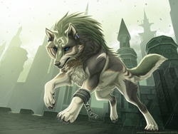 Size: 1100x825 | Tagged: safe, artist:shinigamigirl, link (wolf form), link (zelda), canine, mammal, wolf, feral, nintendo, the legend of zelda, the legend of zelda: twilight princess, 2022, blue eyes, brown body, brown fur, castle, chains, cheek fluff, claws, cuffs, fluff, front view, fur, gray body, gray fur, male, neck fluff, outdoors, paws, rain, running, solo, solo male, tail, teeth, three-quarter view