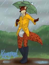 Size: 576x768 | Tagged: safe, artist:airwolf1987, oc, oc only, canine, fox, mammal, anthro, plantigrade anthro, blue eyes, boots, clothes, diaper, diaper fetish, fur, glasses, looking at you, male, rain, rain boots, raincoat, shoes, smiling, solo, solo male, spotted fur, umbrella