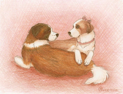 Size: 800x615 | Tagged: safe, artist:thepyf, canine, dog, mammal, saint bernard, feral, beethoven (beethoven), beethoven (film), duo, female, love, male, male/female, missy (beethoven)