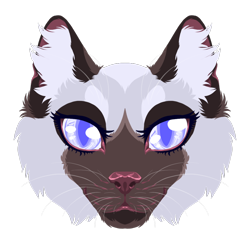 Size: 1000x1000 | Tagged: safe, artist:nottvarg, oc, cat, feline, mammal, blue eyes, brown body, brown fur, ears, fur, fursona, looking at you, solo, white body, white fur