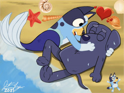 Size: 1280x959 | Tagged: safe, artist:yingcartoonman, bluey heeler (bluey), jean-luc (bluey), australian cattle dog, canine, dog, fictional species, fish, labrador, mammal, semi-anthro, bluey (series), disney, the little mermaid (disney), 2d, beach, bluey-luc (bluey), duo, female, fins, fish tail, heart, male, male/female, merdog, on model, paws, sand, seaside, semi-anthro/semi-anthro, shell, shipping, tail, water