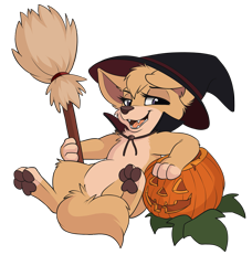 Size: 1785x1960 | Tagged: safe, artist:smittyg, angel (lady and the tramp), canine, dog, mammal, mutt, feral, disney, lady and the tramp, 2d, broom, broomstick, clothes, female, front view, fur, halloween, hat, headwear, holiday, jack-o-lantern, looking at you, open mouth, paw pads, paws, pumpkin, simple background, solo, solo female, three-quarter view, transparent background, witch hat