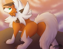 Size: 1800x1400 | Tagged: safe, artist:thatblackfox, canine, dusk lycanroc, fictional species, lycanroc, mammal, wolf, feral, nintendo, pokémon, 2022, ambiguous gender, butt, cliff, green eyes, looking at you, looking back, looking back at you, orange body, solo, solo ambiguous, tail, watermark, white tail