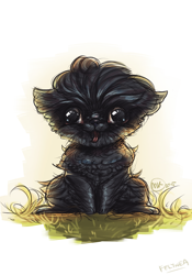 Size: 700x999 | Tagged: safe, artist:melynx, canine, dog, mammal, feral, 2d, affenpinscher, ambiguous gender, solo, solo ambiguous