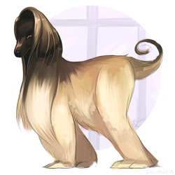 Size: 700x700 | Tagged: safe, artist:melynx, afghan hound, canine, dog, mammal, feral, 2d, ambiguous gender, looking at you, solo, solo ambiguous