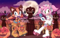 Size: 2048x1315 | Tagged: safe, artist:piink__rose, amy rose (sonic), sticks the badger (sonic), badger, hedgehog, mammal, mustelid, sega, sonic boom (series), sonic the hedgehog (series), clothes, costume, crossover, duo, duo female, female, females only, halloween, holiday, space channel 5, ulala (space channel 5)