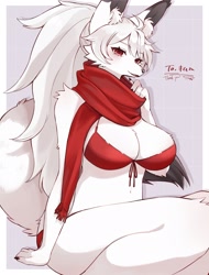 Size: 1555x2048 | Tagged: safe, artist:sa_a__a_, canine, fox, mammal, anthro, big breasts, blushing, bra, breasts, clothes, female, scarf, solo, solo female, tail, thick thighs, thighs, underwear, wide hips