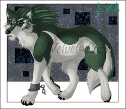 Size: 900x782 | Tagged: safe, artist:velvet-loz, link (wolf form), link (zelda), canine, mammal, wolf, feral, nintendo, the legend of zelda, the legend of zelda: twilight princess, 2d, chains, male, solo, solo male