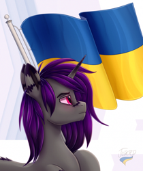 Size: 1920x2286 | Tagged: safe, artist:hajster, oc, oc only, equine, fictional species, mammal, pony, unicorn, coat markings, flag, horn, profile, side view, solo, ukraine, ukrainian flag