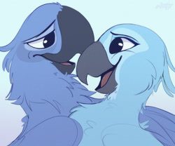 Size: 1280x1067 | Tagged: safe, artist:banzaiweber, blu (rio), jewel (rio), bird, macaw, parrot, spix's macaw, feral, blue sky studios, rio, 2022, 2d, beak, blue background, duo, duo male and female, female, looking at each other, male, male/female, open beak, open mouth, open smile, simple background, smiling