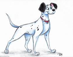 Size: 800x623 | Tagged: safe, artist:stray-sketches, oc, oc only, canine, dalmatian, dog, mammal, feral, 101 dalmatians, disney, 2022, 2d, male, simple background, smiling, solo, solo male, traditional art, white background