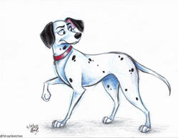 Size: 800x621 | Tagged: safe, artist:stray-sketches, oc, oc only, canine, dalmatian, dog, mammal, feral, 101 dalmatians, disney, 2022, 2d, male, simple background, solo, solo male, traditional art, white background
