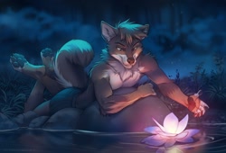 Size: 1200x817 | Tagged: safe, artist:koul_fardreamer, canine, mammal, wolf, anthro, blue eyes, brown eyes, digital art, ears, flower, fur, glowing, gray body, gray fur, hair, heterochromia, lilypad, lying down, male, night, outdoors, partial nudity, paw pads, paws, plant, solo, solo male, tail, topless, underpaw, water