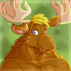 Size: 700x700 | Tagged: safe, artist:bunnymama, oc, oc only, cervid, mammal, moose, anthro, 2d, bust, commission, front view, looking at you, male, solo, solo male, three-quarter view, ungulate