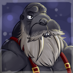 Size: 700x700 | Tagged: safe, artist:bunnymama, oc, oc only, mammal, walrus, anthro, 2d, bust, commission, front view, male, solo, solo male, three-quarter view