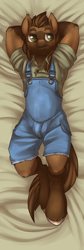 Size: 296x886 | Tagged: artist needed, safe, oc, oc:ian porter, equine, horse, mammal, body pillow design, brown body, brown fur, brown hair, clothes, ears, fur, hair, hooves, lying down, male, mane, overalls, smiling