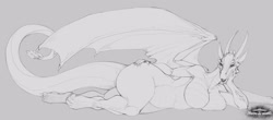 Size: 2500x1100 | Tagged: safe, artist:dragons and drawings, dragon, fictional species, anthro, breasts, butt, featureless breasts, female, horns, huge breasts, huge butt, scales, sketch, solo, solo female, tail, thick thighs, thighs, wide hips, wings